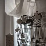 Apartament 4 Limuna
